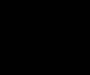Cam huset 2014